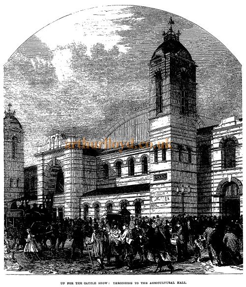 'Up for the Cattle Show: Thronging to The Agricultural Hall' - From the Penny Illustrated Paper December 14th 1872.