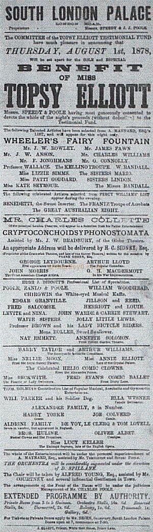 A South London Palace Bill with Arthur Lloyd for August 1st 1878